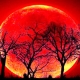 La “Luna de Sangre”, otra vez se acaba el mundo