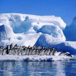 Vamos a la Antártida