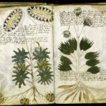 El libro más misterioso