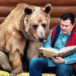 El hombre es como el oso, cuanto más feo, más cariñoso
