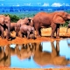 Safari en Sudáfrica