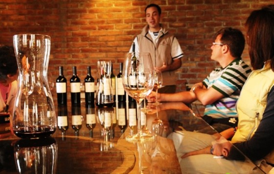 Wine Tasting at Achaval Ferrer Winery - Mendoza, Argentina