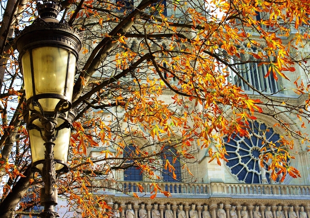 ¡Feliz otoño, París!