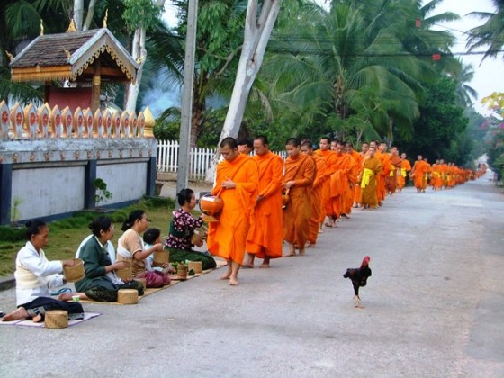 Laos-Luang-Prabang-Buddhist-monks-collecting-alms-Picture-VINCENT-ROSS