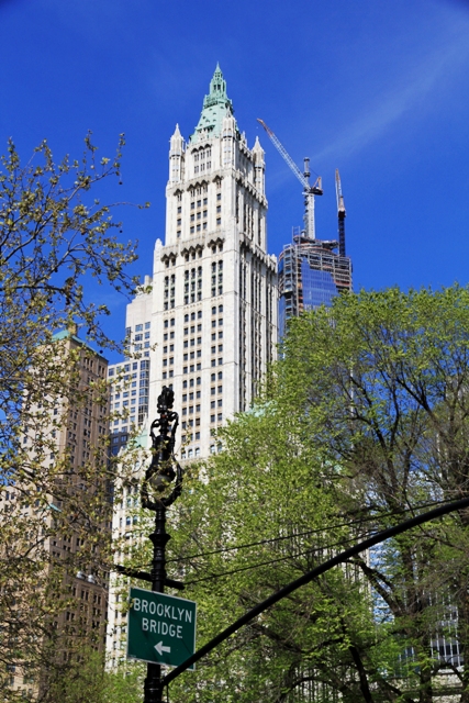 USA-NYC-The_Woolworth_Building3