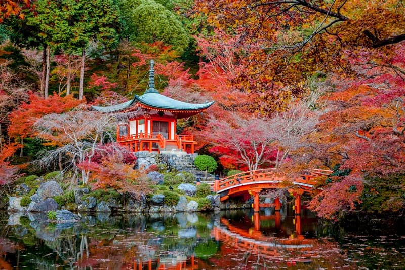 autumn-daigo-ji (1)