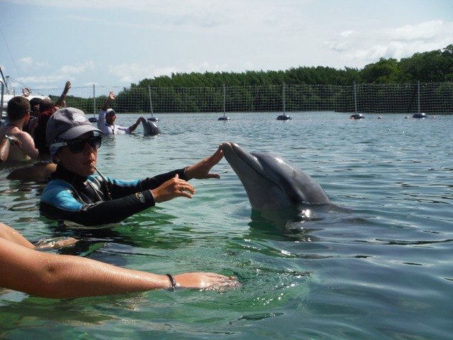 interacción con los delfines en cayo blanco