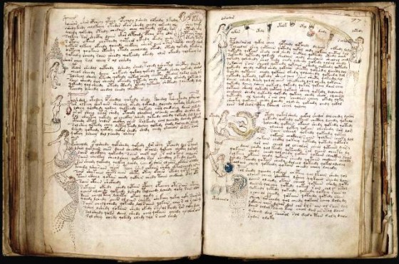 manuscrito Voynich 213