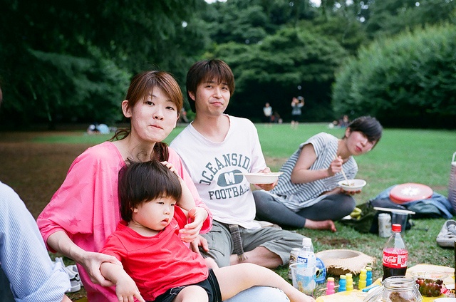 picnic-Japan